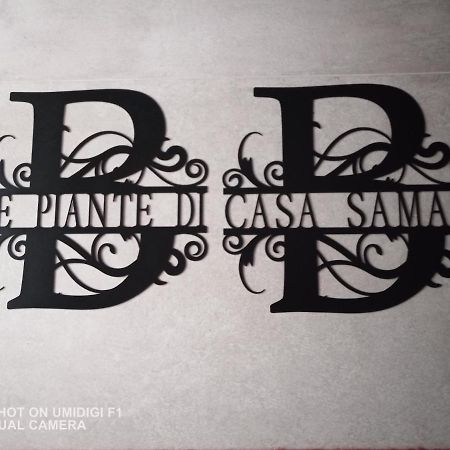 Le Piante Di Casa Samar Bed and Breakfast Castelguelfo Exteriör bild